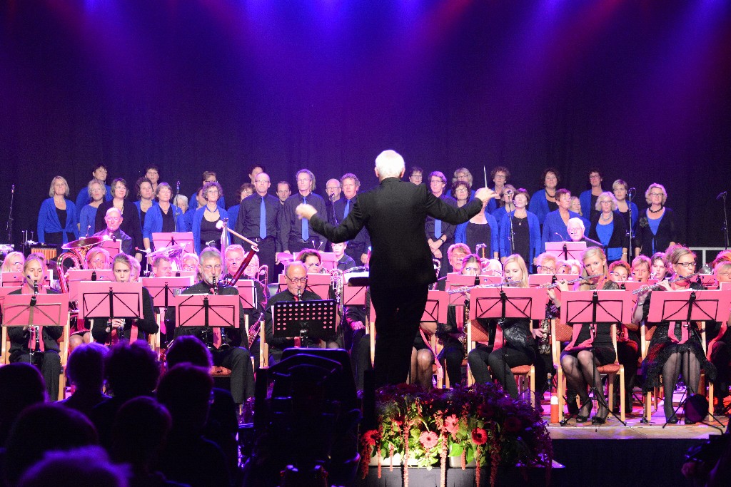 ../Images/Jubileumconcert 100 jaar Harpe Davids 228.jpg